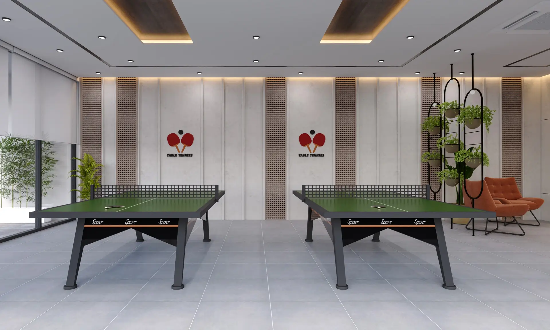 Table Tennis Area
